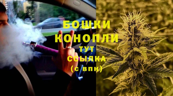 ГАЛЛЮЦИНОГЕННЫЕ ГРИБЫ Балабаново